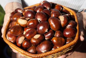 The health benefits of chestnuts